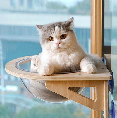 hamac-chat-capsule-chat-face-pattes-dehors