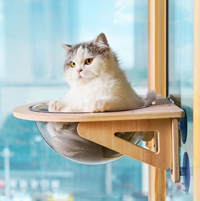 hamac-chat-capsule-chat-pattes-dehors