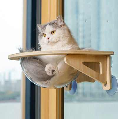 hamac-chat-capsule-chat-tres-confortable