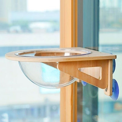 hamac-chat-capsule-vide-fenetre