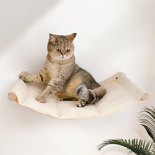 hamac-chat-cozy-perch-chat-assis
