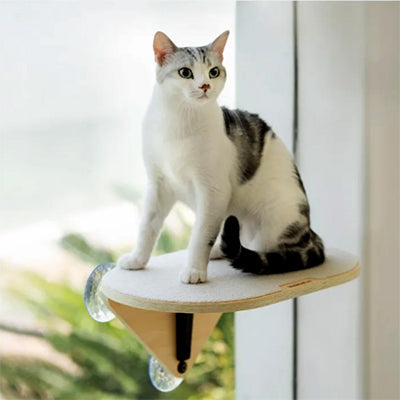 hamac-chat-en-bois-surpris