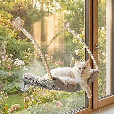 hamac-chat-fenetre-avec-coussin-chat-au-repos