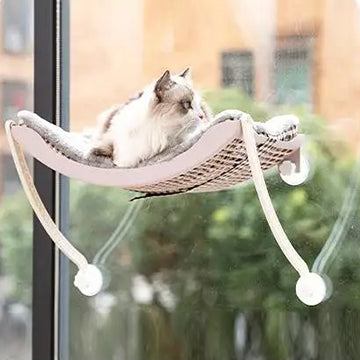 hamac-chat-fenetre-avec-griffoir-chat-allonge