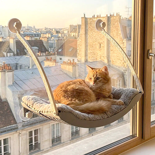 hamac-chat-fenetre-avec-griffoir-chat-confortable-vu-sur-les-toits