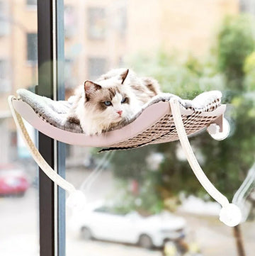 hamac-chat-fenetre-avec-griffoir-velour-et-chat