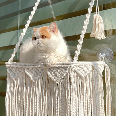 hamac-chat-fenetre-en-macrame-assis-confortablement