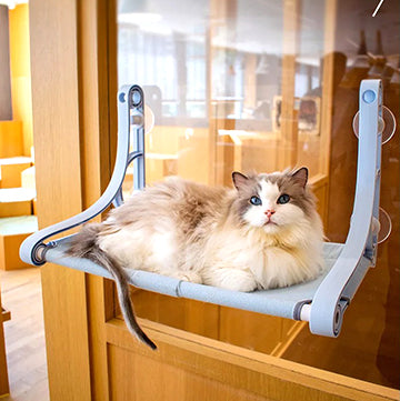 hamac-chat-fenetre-style-retro-chat-couche