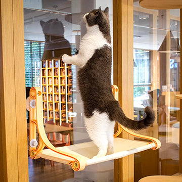 hamac-chat-fenetre-style-retro-chat-debout