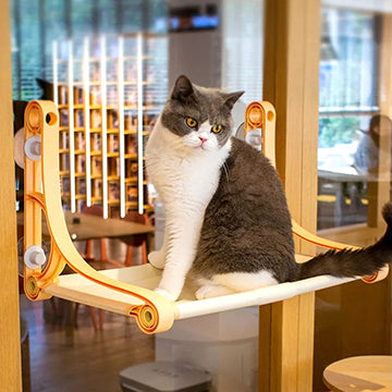 hamac-chat-fenetre-style-retro-chat-perche