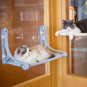 hamac-chat-fenetre-style-retro-deux-chats