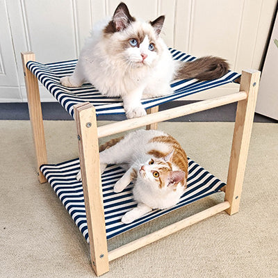 hamac-chat-surperpose-chats-regardent-en-haut