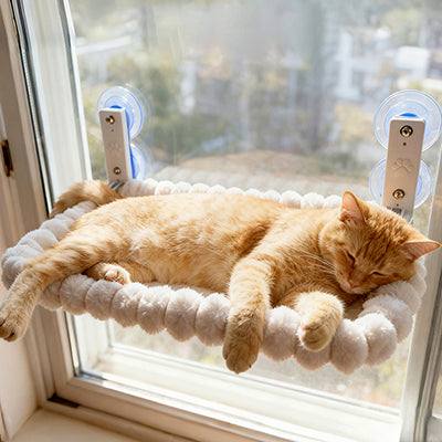 hamac-chat-ventouse-extra-large-chat-qui-dort