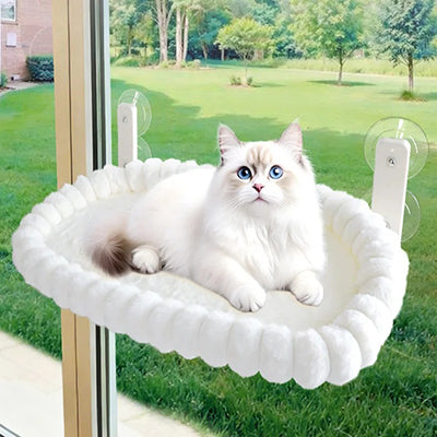 hamac-chat-ventouse-extra-large-yeux-bleus