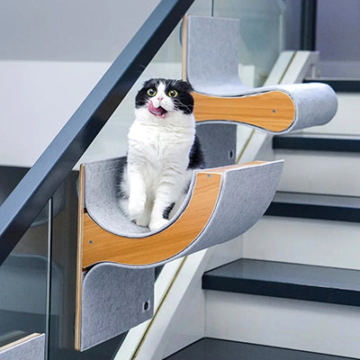 hamac-fenetre-chat-chat-assis