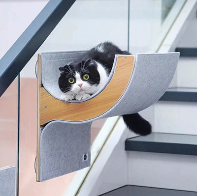 hamac-fenetre-chat-chat-couche