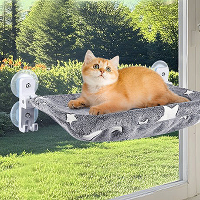 hamac-fenetre-chat-confort-douillet-avec-chaton-couche