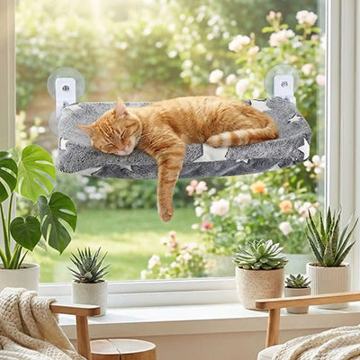 hamac-fenetre-chat-confort-douillet-dans-salon