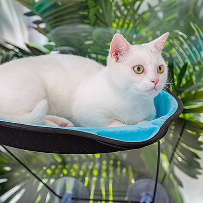 hamac-fenetre-chat-design-tete-de-chat-couche-et-surpris