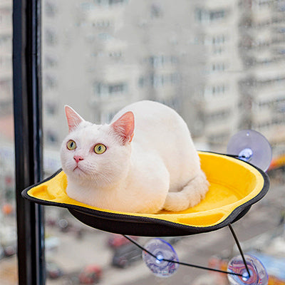 hamac-fenetre-chat-design-tete-de-chat-regard-surpris