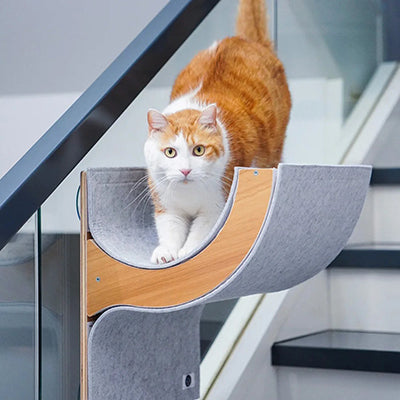 hamac-fenetre-chat-en-detente