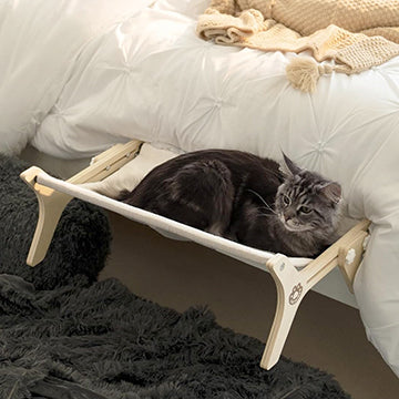 hamac-fenetre-chat-multi-scenes-chambre
