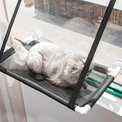 hamac-fenetre-chat-toutes-saisons-chat-couche