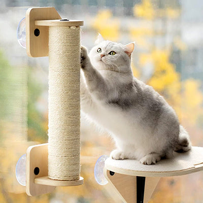 hamac-fenetre-chat-trois-en-un-chat-seul-avec-griffoir