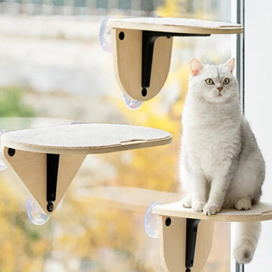 hamac-fenetre-chat-trois-en-un-chat-seul