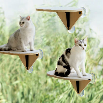 hamac-fenetre-chat-trois-en-un-deux-chats