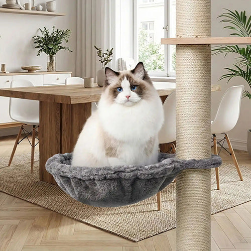 hamac-pour-chat-arbre-a-chat-dans-salle-a-manger