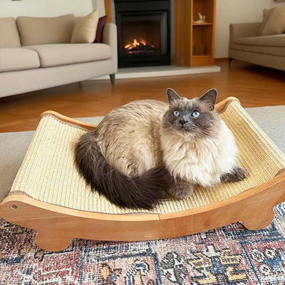 hamac-pour-chat-avec-griffoir-integre-chat-couverture