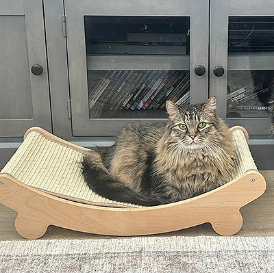 hamac-pour-chat-avec-griffoir-integre-chat-de-assis