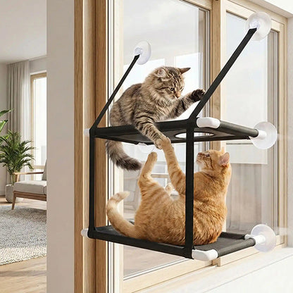 hamac-pour-chat-de-fenetre-deux-chats-qui-jouent