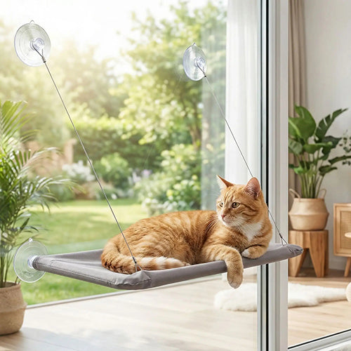 hamac-pour-chat-ventouse-chat-allonge