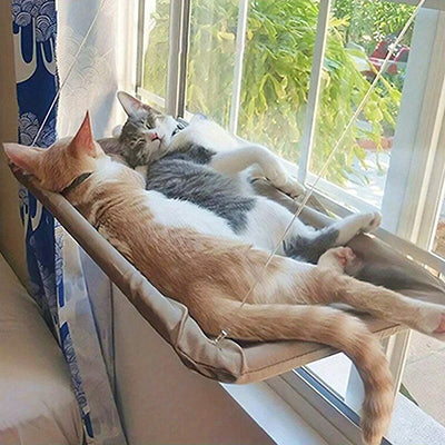 hamac-pour-chat-ventouse-solide-pour-deux