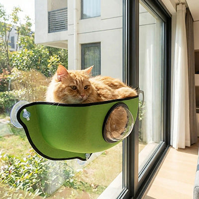 hamac_fenetre_pour_chat_bulle_transparente_chat_dans_le_salon