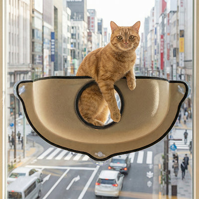 hamac_fenetre_pour_chat_bulle_transparente_chat_debout