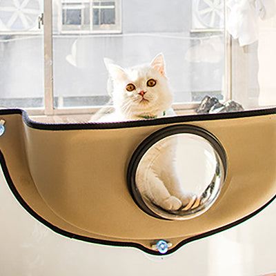 hamac_fenetre_pour_chat_bulle_transparente_chat_surpris
