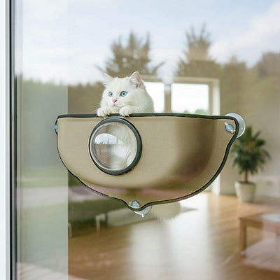 hamac_fenetre_pour_chat_bulle_transparente_chaton_debout