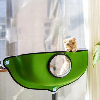 hamac_fenetre_pour_chat_bulle_transparente_chaton_vert