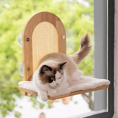 hamac_fenetre_pour_chat_et_son_griffoir_chat_avec_patte_qui_pend