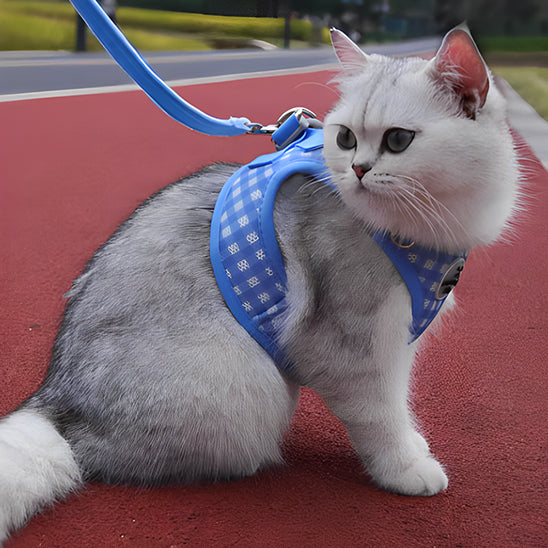 Harnais Et Laisse Pour Chat YUBBYSTU – Sécurisé, Réglable Et Confortable Pour Promener Ton Chat En Toute Sécurité