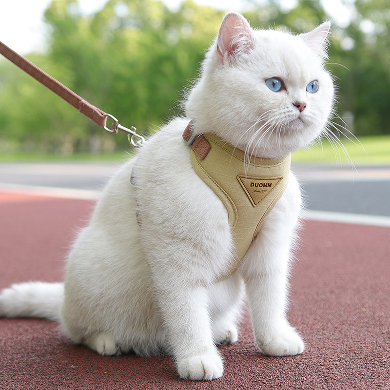 harnais-pour-chat-doux-et-confortable-regard