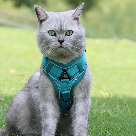 Harnais pour chat réfléchissant