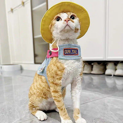 harnais_anti_evasion_chat_chapeau