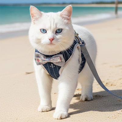harnais_anti_evasion_chat_noeud_pape_bleu_plage