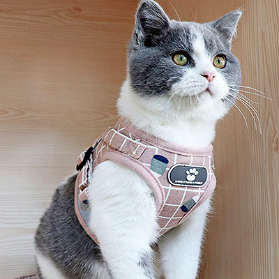 harnais_anti_fugue_chat_reglable_regard_fixe