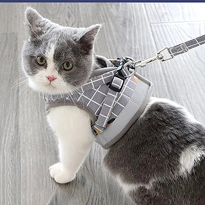 harnais_anti_fugue_chat_reglable_surpris