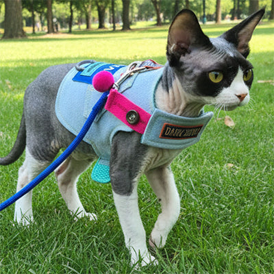 harnais-anti-evasion-chat-avec-laisse-gris
